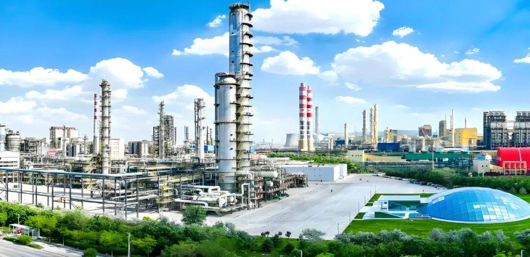 宝丰能源归母净利润增长超7成宁夏首富党彦宝半年前被撤销政协委员